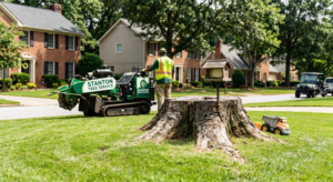 Stump grinding removal equipment on a residential property in Atlanta